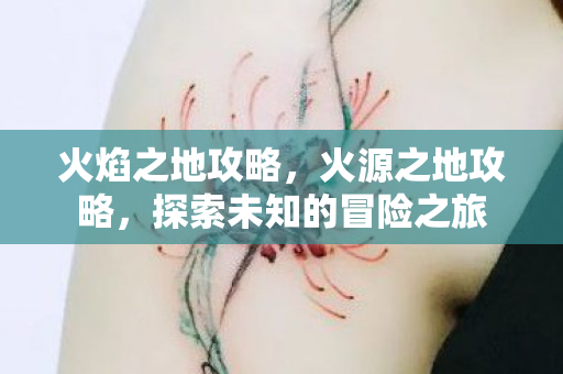 火焰之地攻略，火源之地攻略，探索未知的冒险之旅