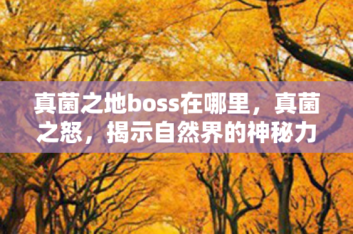 真菌之地boss在哪里,真菌之怒,揭示自然界的神秘力量与生态重要性 真菌之地boss在哪里,真菌之怒,揭示自然界的神秘力量与生态重要性