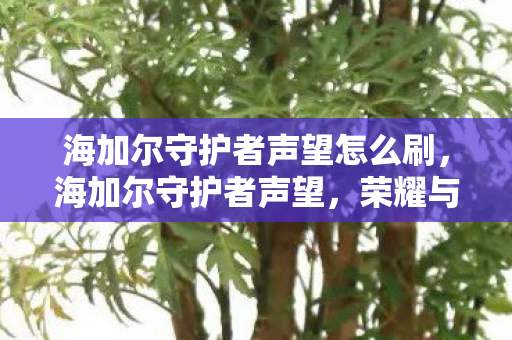 海加尔守护者声望怎么刷,海加尔守护者声望,荣耀与责任的象征 海加尔守护者声望怎么刷,海加尔守护者声望,荣耀与责任的象征
