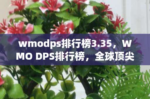 wmodps排行榜3.35，WMO DPS排行榜，全球顶尖玩家的实力较量