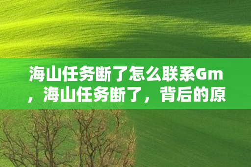 海山任务断了怎么联系Gm,海山任务断了,背后的原因与未来展望 海山任务断了怎么联系Gm,海山任务断了,背后的原因与未来展望