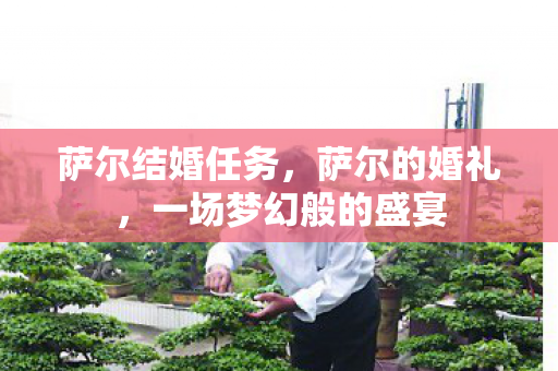 萨尔结婚任务,萨尔的婚礼,一场梦幻般的盛宴 萨尔结婚任务,萨尔的婚礼,一场梦幻般的盛宴