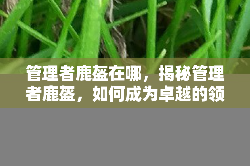 管理者鹿盔在哪，揭秘管理者鹿盔，如何成为卓越的领导者？