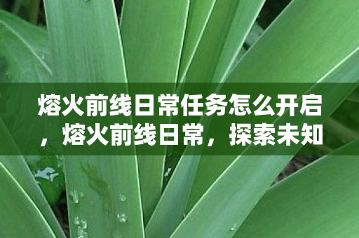 熔火前线日常任务怎么开启，熔火前线日常，探索未知世界的冒险篇章
