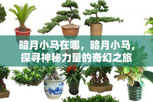 暗月小马在哪，暗月小马，探寻神秘力量的奇幻之旅