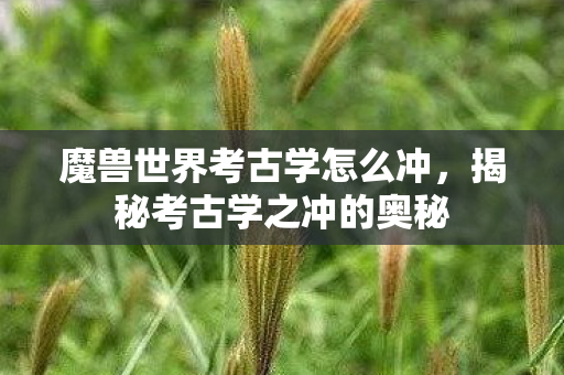魔兽世界考古学怎么冲，揭秘考古学之冲的奥秘