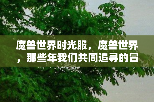 魔兽世界时光服，魔兽世界，那些年我们共同追寻的冒险与荣耀