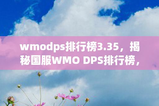 wmodps排行榜3.35，揭秘国服WMO DPS排行榜，顶尖玩家的战斗实力与荣耀时刻