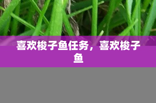 喜欢梭子鱼任务,喜欢梭子鱼 喜欢梭子鱼任务,喜欢梭子鱼