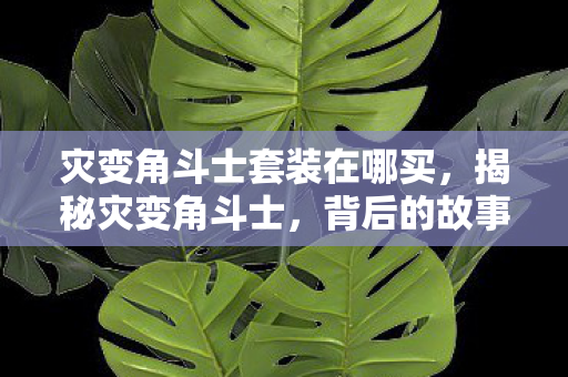 灾变角斗士套装在哪买，揭秘灾变角斗士，背后的故事与挑战