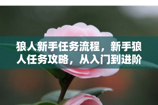 狼人新手任务流程,新手狼人任务攻略,从入门到进阶 狼人新手任务流程,新手狼人任务攻略,从入门到进阶