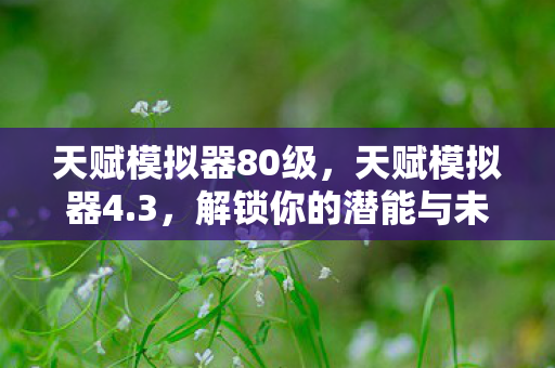 天赋模拟器80级，天赋模拟器4.3，解锁你的潜能与未来之路