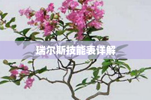 瑞尔斯技能表详解