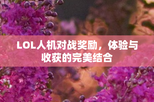 LOL人机对战奖励，体验与收获的完美结合