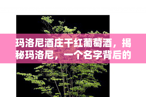 玛洛尼酒庄干红葡萄酒,揭秘玛洛尼,一个名字背后的故事 玛洛尼酒庄干红葡萄酒,揭秘玛洛尼,一个名字背后的故事