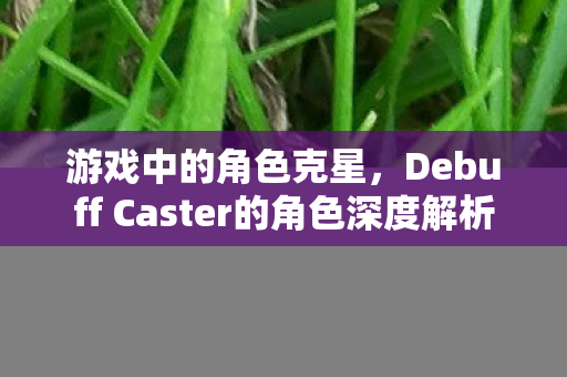 游戏中的角色克星,Debuff Caster的角色深度解析 游戏中的角色克星,Debuff Caster的角色深度解析