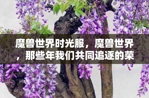魔兽世界时光服，魔兽世界，那些年我们共同追逐的荣耀与情怀