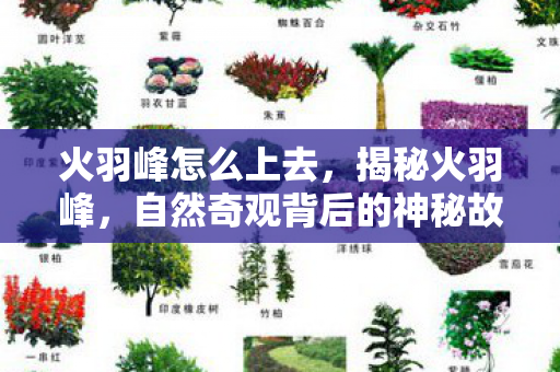 火羽峰怎么上去,揭秘火羽峰,自然奇观背后的神秘故事 火羽峰怎么上去,揭秘火羽峰,自然奇观背后的神秘故事