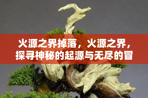 火源之界掉落，火源之界，探寻神秘的起源与无尽的冒险之旅