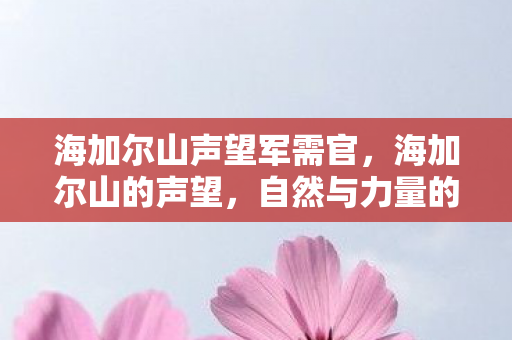 海加尔山声望军需官，海加尔山的声望，自然与力量的传奇