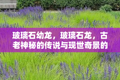 玻璃石幼龙，玻璃石龙，古老神秘的传说与现世奇景的交融