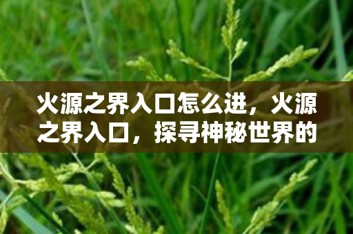 火源之界入口怎么进，火源之界入口，探寻神秘世界的未知之旅