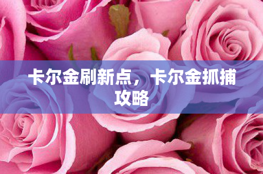 卡尔金刷新点，卡尔金抓捕攻略