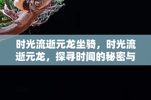 时光流逝元龙坐骑，时光流逝元龙，探寻时间的秘密与生命的奇迹