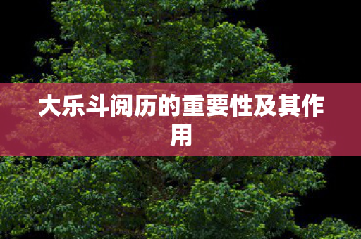 大乐斗阅历的重要性及其作用