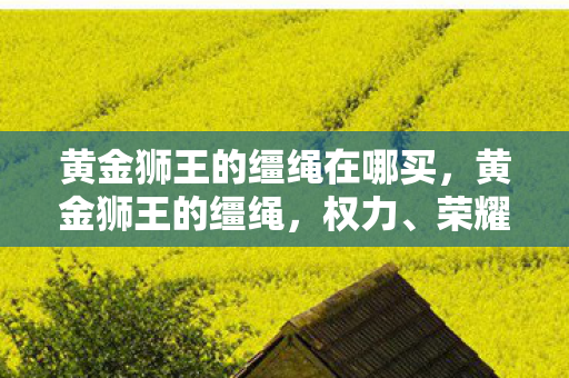 黄金狮王的缰绳在哪买，黄金狮王的缰绳，权力、荣耀与传奇的交织