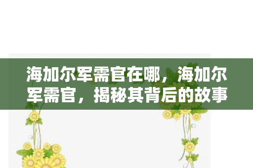 海加尔军需官在哪，海加尔军需官，揭秘其背后的故事与职责