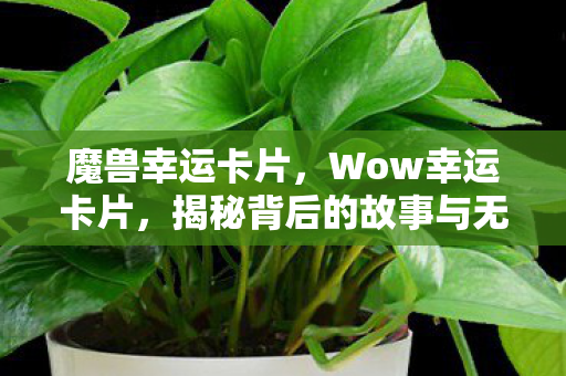 魔兽幸运卡片，Wow幸运卡片，揭秘背后的故事与无限可能