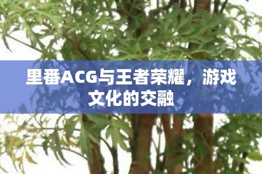 里番ACG与王者荣耀，游戏文化的交融