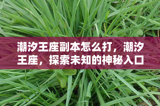 潮汐王座副本怎么打,潮汐王座,探索未知的神秘入口 潮汐王座副本怎么打,潮汐王座,探索未知的神秘入口