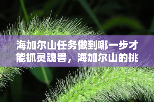海加尔山任务做到哪一步才能抓灵魂兽,海加尔山的挑战,勇者之路的任务之旅 海加尔山任务做到哪一步才能抓灵魂兽,海加尔山的挑战,勇者之路的任务之旅
