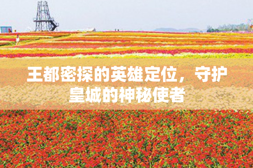 王都密探的英雄定位，守护皇城的神秘使者