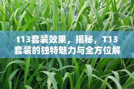 t13套装效果,揭秘,T13套装的独特魅力与全方位解析 t13套装效果,揭秘,T13套装的独特魅力与全方位解析