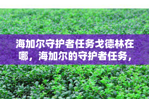 海加尔守护者任务戈德林在哪，海加尔的守护者任务，探寻未知的冒险之旅