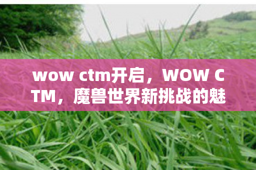 wow ctm开启,WOW CTM,魔兽世界新挑战的魅力与挑战 wow ctm开启,WOW CTM,魔兽世界新挑战的魅力与挑战