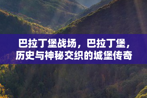 巴拉丁堡战场，巴拉丁堡，历史与神秘交织的城堡传奇