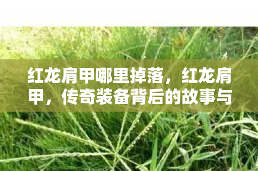 红龙肩甲哪里掉落，红龙肩甲，传奇装备背后的故事与荣耀