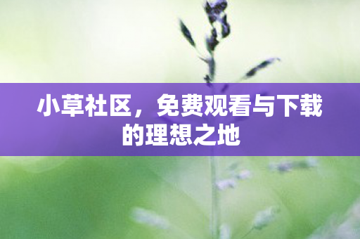 小草社区，免费观看与下载的理想之地