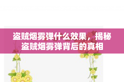 盗贼烟雾弹什么效果,揭秘盗贼烟雾弹背后的真相 盗贼烟雾弹什么效果,揭秘盗贼烟雾弹背后的真相