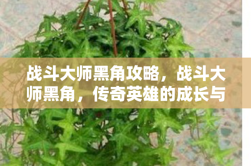 战斗大师黑角攻略,战斗大师黑角,传奇英雄的成长与荣耀之路 战斗大师黑角攻略,战斗大师黑角,传奇英雄的成长与荣耀之路