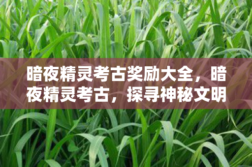 暗夜精灵考古奖励大全，暗夜精灵考古，探寻神秘文明的千年之谜