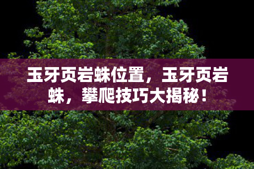 玉牙页岩蛛位置，玉牙页岩蛛，攀爬技巧大揭秘！