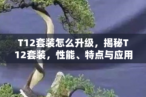 T12套装怎么升级，揭秘T12套装，性能、特点与应用领域全面解析