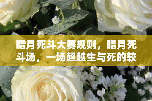 暗月死斗大赛规则，暗月死斗场，一场超越生与死的较量