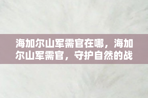 海加尔山军需官在哪，海加尔山军需官，守护自然的战士与文化的传承者