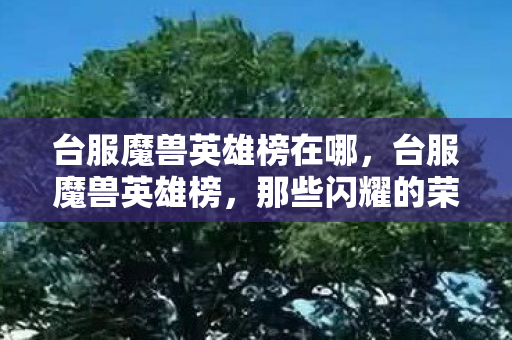 台服魔兽英雄榜在哪，台服魔兽英雄榜，那些闪耀的荣耀瞬间